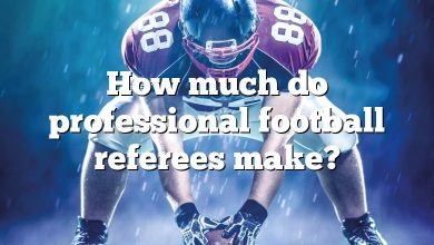 How much do professional football referees make?