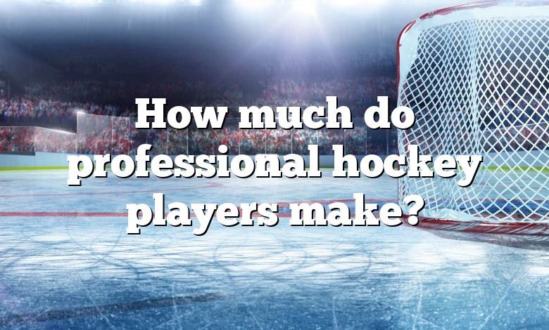 How much do professional hockey players make?