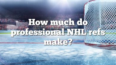 How much do professional NHL refs make?