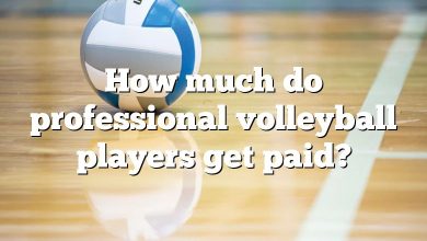 How much do professional volleyball players get paid?