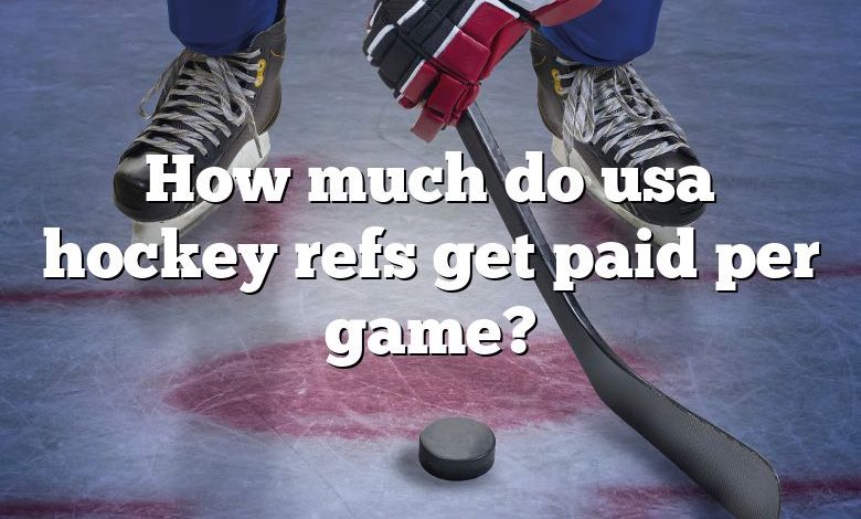 How much do usa hockey refs get paid per game?