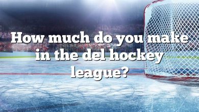 How much do you make in the del hockey league?