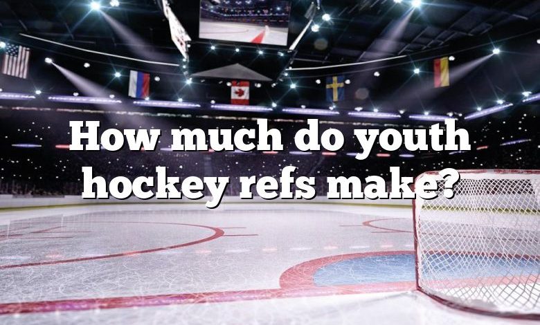 How much do youth hockey refs make?