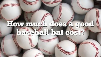 How much does a good baseball bat cost?