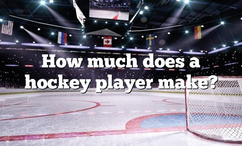 How much does a hockey player make?