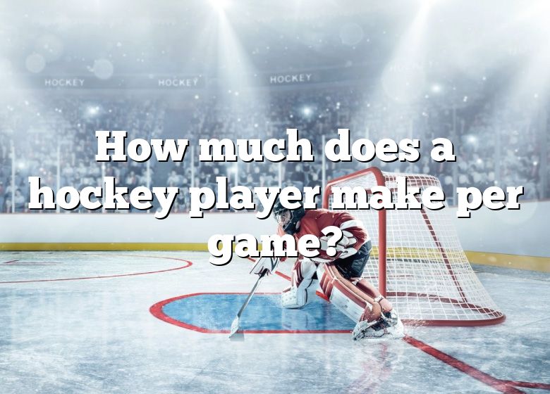 how-much-do-hockey-players-earn-internationalhockey