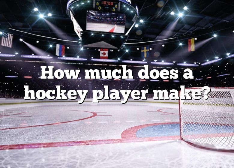 how-much-does-a-hockey-player-make-dna-of-sports