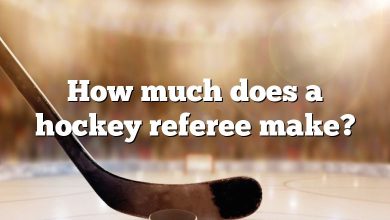 How much does a hockey referee make?