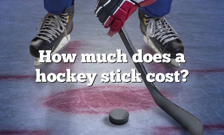 How much does a hockey stick cost?