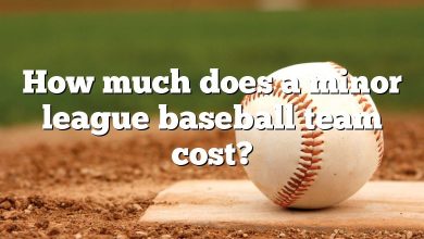 How much does a minor league baseball team cost?