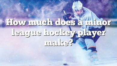 How much does a minor league hockey player make?