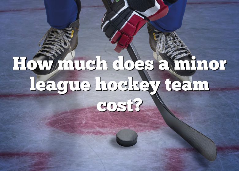 how-much-does-a-minor-league-hockey-team-cost-dna-of-sports