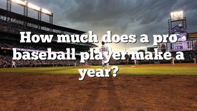 How much does a pro baseball player make a year?