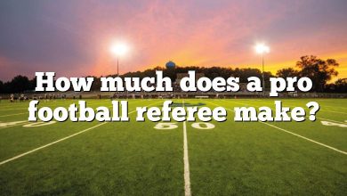 How much does a pro football referee make?