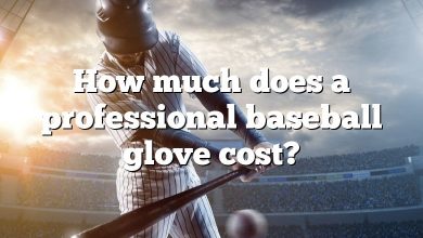 How much does a professional baseball glove cost?