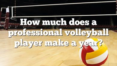 How much does a professional volleyball player make a year?