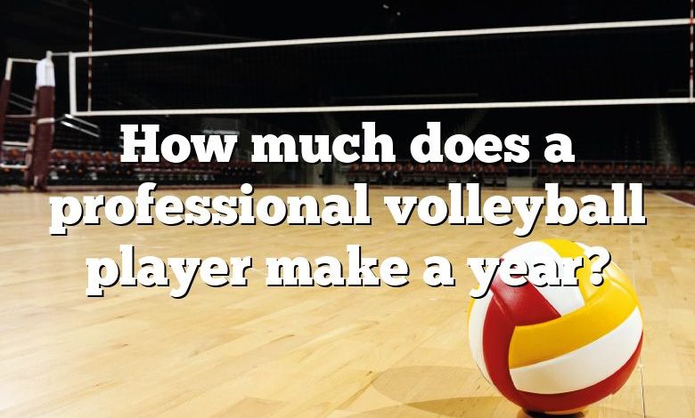 How much does a professional volleyball player make a year?