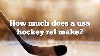 How much does a usa hockey ref make?