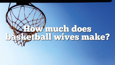 How much does basketball wives make?