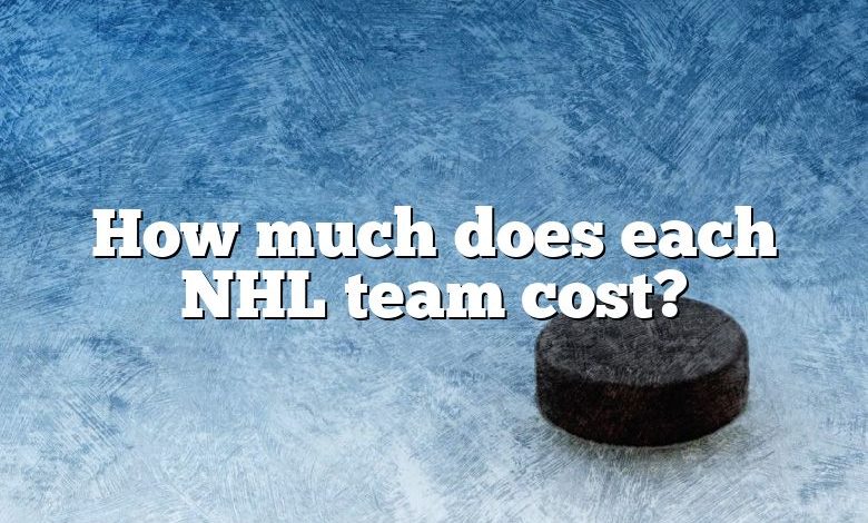 How much does each NHL team cost?