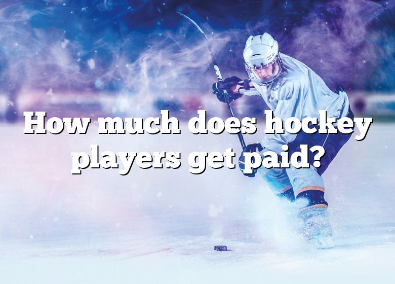 how-much-does-hockey-players-get-paid-dna-of-sports