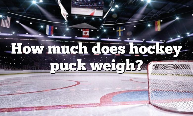 How much does hockey puck weigh?