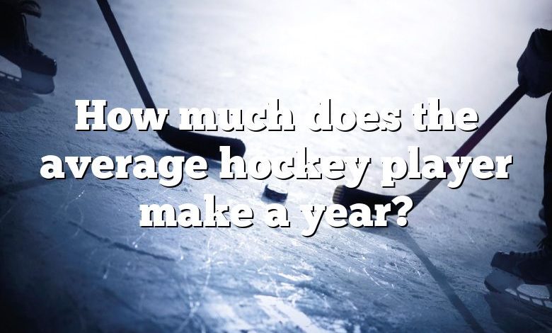 How much does the average hockey player make a year?