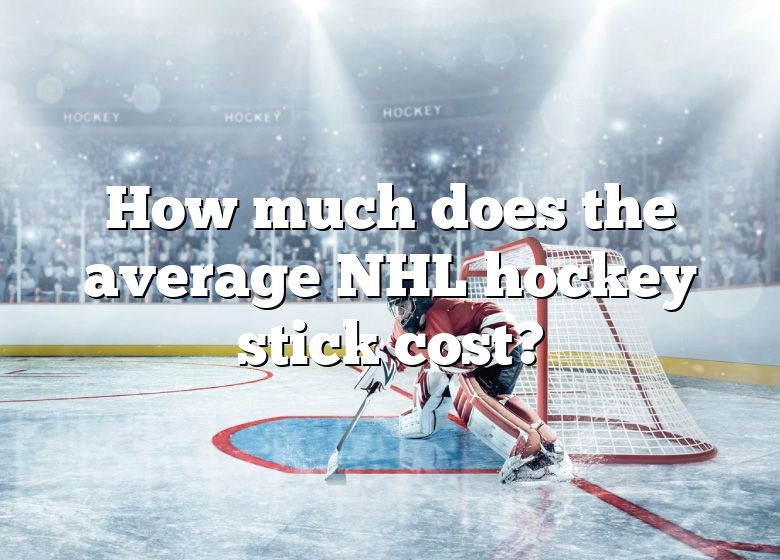 How Much Does The Average NHL Hockey Stick Cost? | DNA Of SPORTS