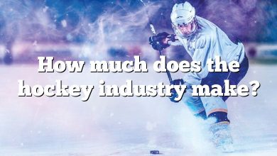 How much does the hockey industry make?