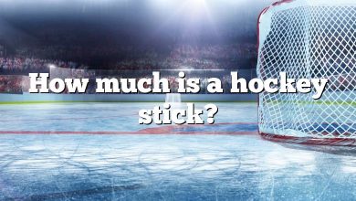 How much is a hockey stick?