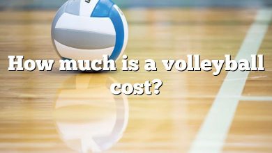 How much is a volleyball cost?