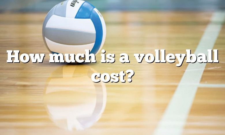 How much is a volleyball cost?