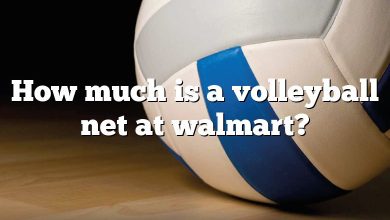 How much is a volleyball net at walmart?