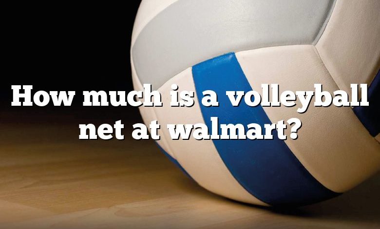 How much is a volleyball net at walmart?