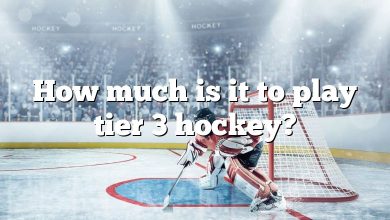 How much is it to play tier 3 hockey?