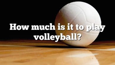 How much is it to play volleyball?