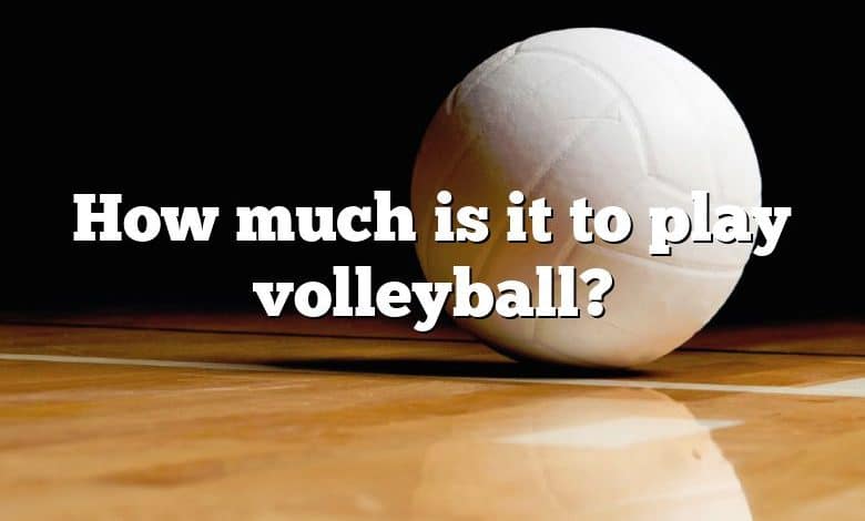 How much is it to play volleyball?