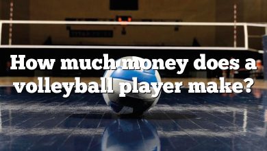 How much money does a volleyball player make?