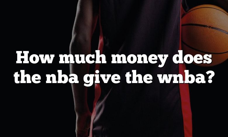 How much money does the nba give the wnba?