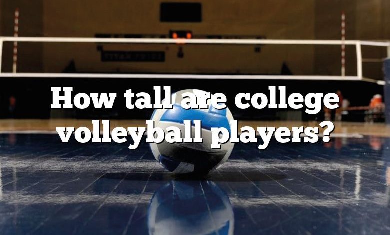 How tall are college volleyball players?