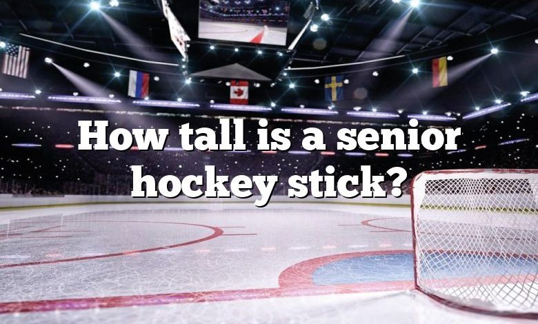 How tall is a senior hockey stick?