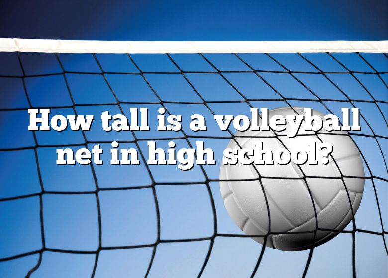 How Tall Is A Volleyball Net In High School? DNA Of SPORTS