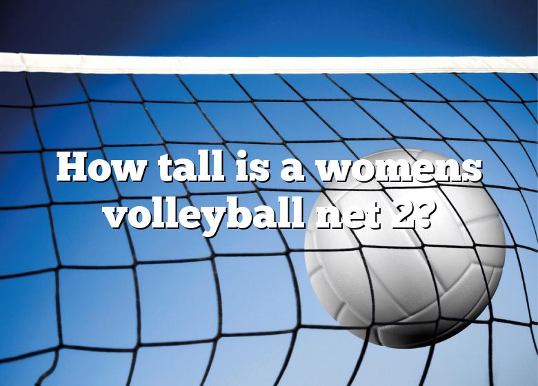 how-tall-is-a-womens-volleyball-net-2-dna-of-sports