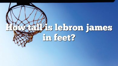 How tall is lebron james in feet?