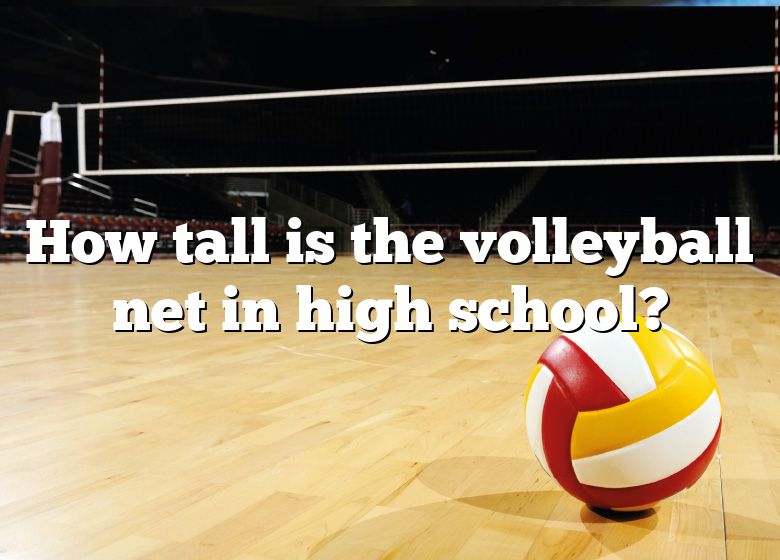 how-tall-is-the-volleyball-net-in-high-school-dna-of-sports