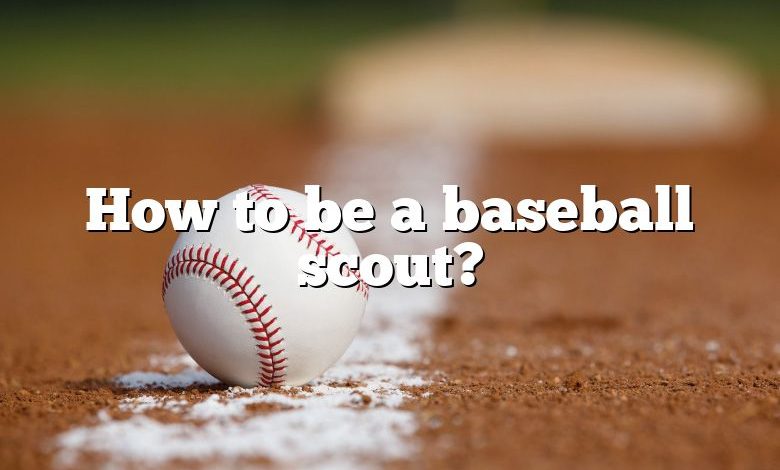 How to be a baseball scout?