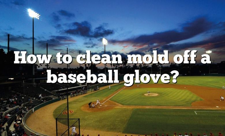 How to clean mold off a baseball glove?