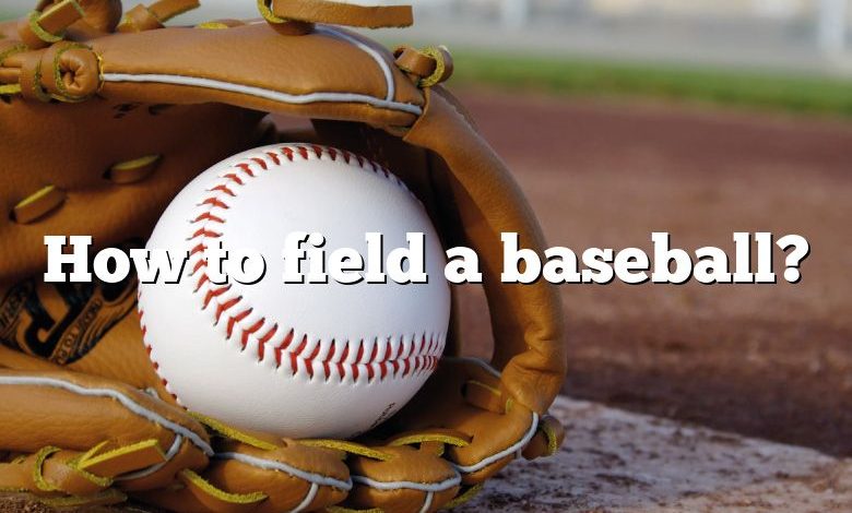 How to field a baseball?