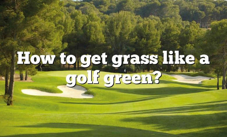 How to get grass like a golf green?