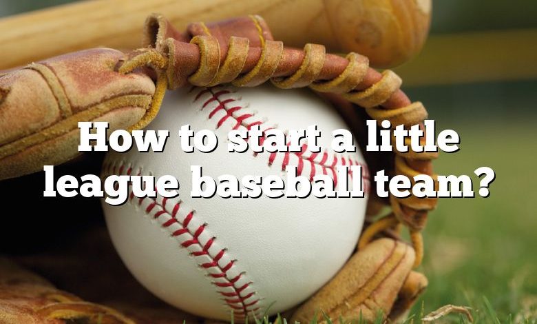 How to start a little league baseball team?